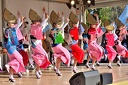 2-AWA-ODORI danse des fous-prefecture de Tokushima