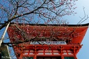2016-03-22 Kiyomizu temple