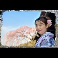 日本、桜花鑑賞 - Japan, observation of Sakura in bloom- [4K]