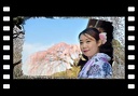 日本、桜花鑑賞 - Japan, observation of Sakura in bloom- [4K]